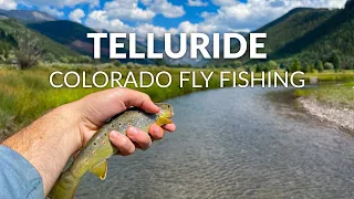 FLY FISHING COLORADO | Browns & Brookies Galore | San Miguel River