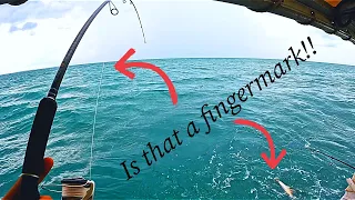 Gulf of Carpinteria Fishing & Island Camping: Epic Catch & cook -Fingermark Galore PT 1