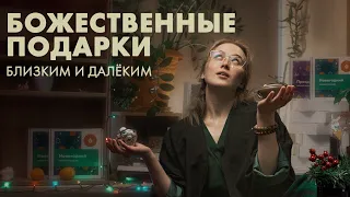 5 подарков на любой вкус и бюджет | Art of Tea, китайский чай