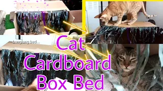 How to make a easy cat bed using cardboard box- Diy