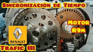 Sincronización de Tiempo de la Renault Trafic 3 | MOTOR R9M