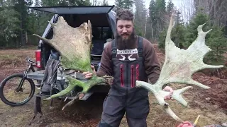 23 Moose Sheds in one day?? | Beyond the Boundaries