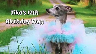 Tika’s 12th Birthday Vlog - Birthday Weekend at the Cottage