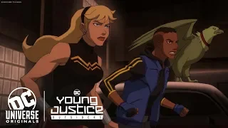 Young Justice: Outsiders | Binge | DC Universe | The Ultimate Membership