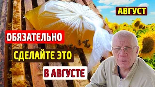 Работы в августе на пасеке Самый важный месяц для пчел