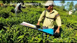 Battery powered hedge trimmer