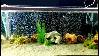 How to make Aquarium Bubble Wall used hose Pipe very fast / DIY
