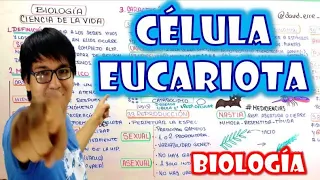 [ BIOLOGÍA FREE ] - CELULA EUCARIOTA | Citología 🌿👉😍