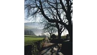 Trees - A Lesson using Indian inks & watercolour