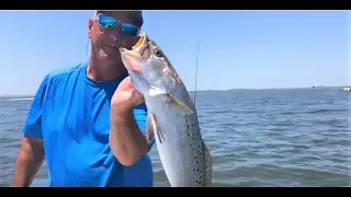 How to Catch GIANT Speckled Trout on Grand Isle