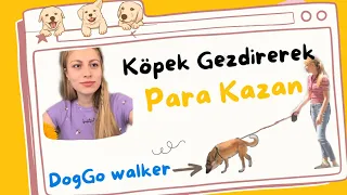 Köpek Gezdirerek Para Kazan • DogGo Walker nasıl olunur ? 🐶 #doggo  #walker  #parakazanma