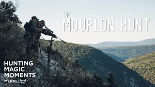 THE MOUFLON HUNT | HUNTING MAGIC MOMENTS