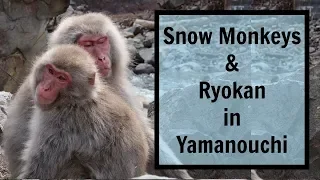 Yamanouchi, Nagano, Travel Guide: See Snow Monkeys & Explore Onsens! (It's AMAZING)