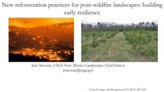 New reforestation practices for post-wildfire landscapes- building early resilience