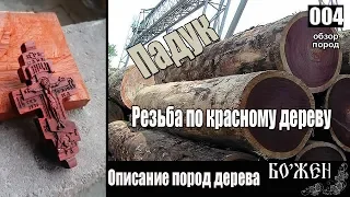 Описание породы дерева  Падук  Нательный крест