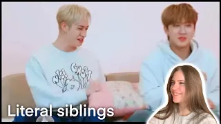 First Time Reaction To: Stray Kids being an actual family