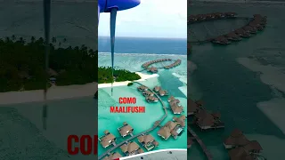 Swoop in at COMO Maalifushi Maldives #shorts