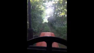 Zetor 6911 Pov riding thru forest