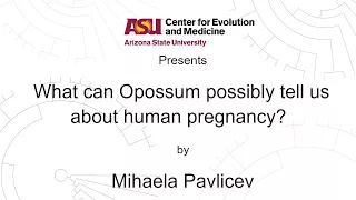 What Can Opossum Possibly Tell Us About Human Pregnancy? | Mihaela Pavlicev