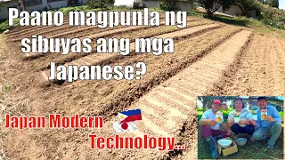 PAANO MAGPUNLA NG SIBUYAS ANG MGA JAPANESE