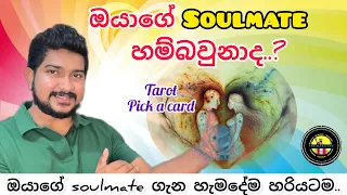 ඔයාගේ Soulmate හම්බවුනාද...  #tarot #soulmate #love #sinhala #marriage #trending