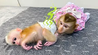 Monkey Kaka asked her mom to change baby monkey Mit's diaper