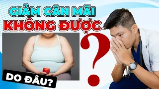 4 Lý Do Khiến Bạn Giảm Cân Mãi Không Hiệu Quả | Dr Ngọc