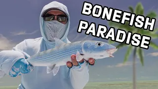 Bonefishing On The Fly in The Bahamas | Pleasant Bay Lodge