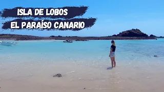 QUE VER EN ISLA DE LOBOS | EL PARAÍSO CANARIO 🏝 #6