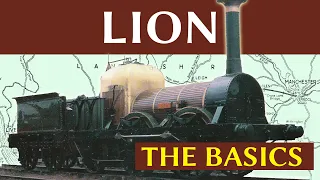 Lion: The Basics