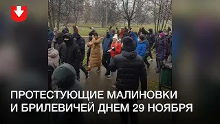 Ускоренное видео колонны Малиновки и Брилевичей днем 29 ноября