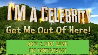 Show 11 Ant & Dec live on Insta