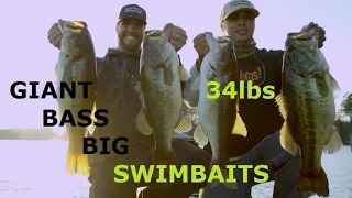 Big Bass on Big Swimbaits- Lake Burton Fishing Guide