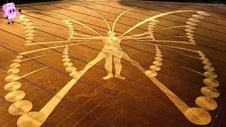 10 Amazing Crop Circles That Have Left Authorities Stunned