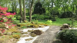 Japanische | Gartengestaltung | im | Japanischer Garten | Zenkloster | Liebenau | (Niedersachsen)