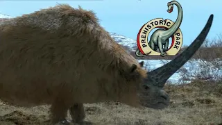 Prehistoric Park [2006] - Elasmotherium Screen Time