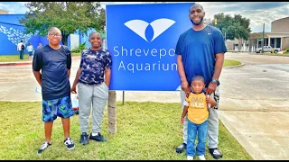 Feeding Stingrays and Touching Jellyfish at Shreveport Aquarium