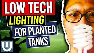 Low Light Options for Planted Tanks – Planted Aquarium Lighting Guide – Part 5