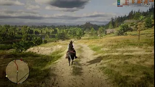 RDR2 texture pop in