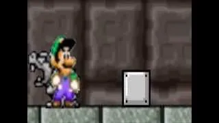 Luigi's Adventure 5