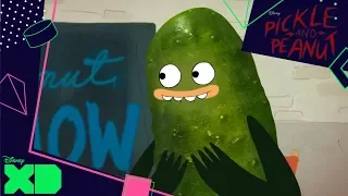 Pickle and Peanut | Clip Show | Clip
