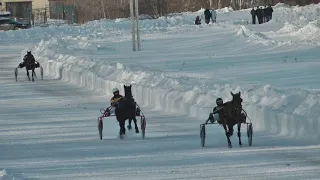 10.02.2019 г. 4-й заезд Приз имени Прилепского конного завода