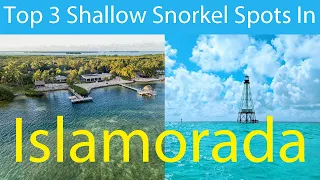 Islamorada Snorkel Guide: Our TOP 3 Shallow Reefs (in 4 minutes)