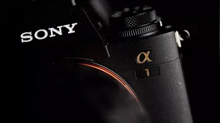 The Sony a1 was a BIG mistake