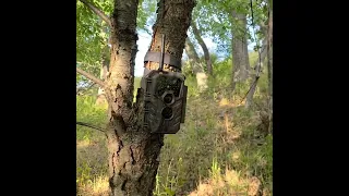 Meidase P90 WiFi Trail Camera Unboxing and First Impressions