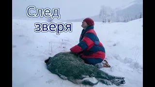 След зверя.  Трейлер