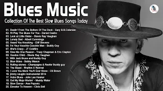 Gary B.B. Coleman, B.B King, Stevie Ray Vaughan, Muddy Waters, John Lee Hooker - Best Of Blues Music