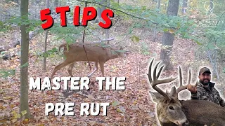 5 Great Pre Rut Hunting Tips to Help Tag Your Target Buck