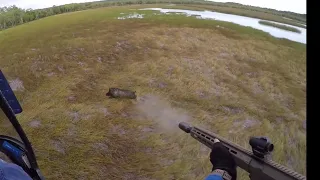 Lone boar highlights. Aerial shooting with FVR375