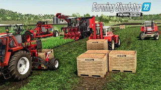 Harvesting Carrots with all new machines from premium DLC (Making Vegetable palette) | FS 22